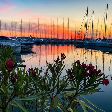View Biograd *
