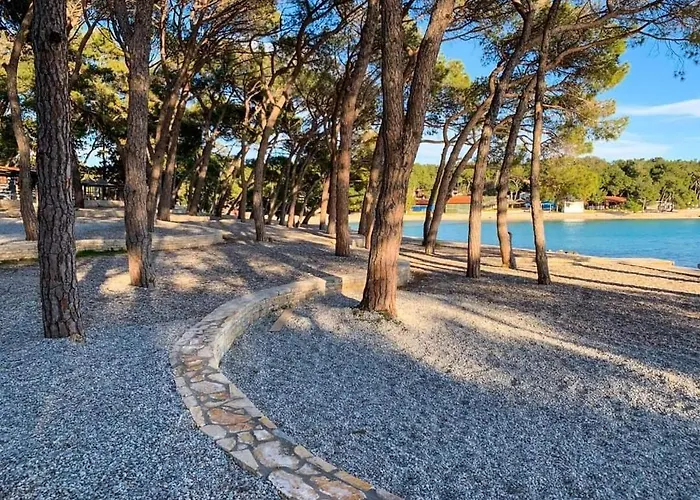 View Biograd *