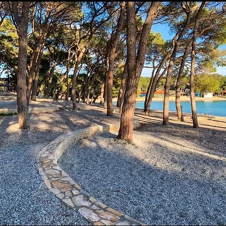 View Biograd *